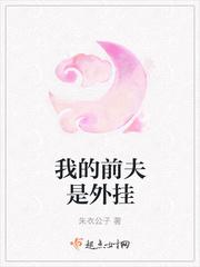 我的前夫先生