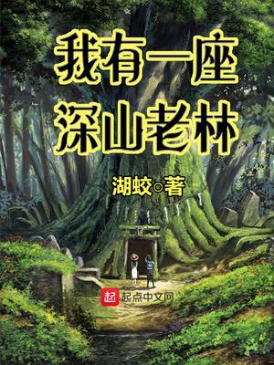 我有一座深山老林资源