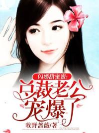 闪婚老公太凶猛沈翘