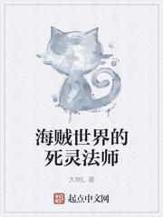 海贼之黑伯爵怎么样