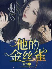 他的金丝雀全文免费