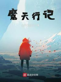 少年天行记
