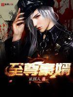 至尊豪婿1至100集免费观看完整版