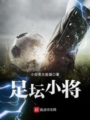 足坛左边卫小将