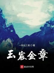 玉宸金章 精修