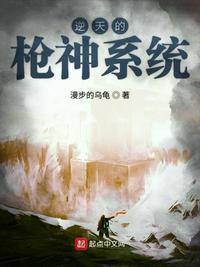 逆天的枪神系统好看吗