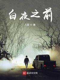 白夜bug