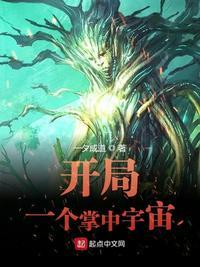 开局一个掌中宇宙泡泡的