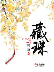 藏珠云芨txt