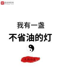 我有一盏不省油的灯笔趣阁