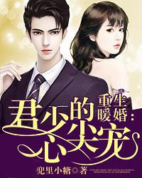 重生暖婚君少的心尖宠 兜里小糖