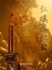 红楼之镇北公