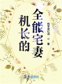 机长的全能宅妻全文免费阅读