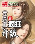疯狂升级系统txt八零