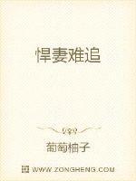 悍妻难追全文免费阅读定王