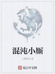 小混沌教程视频