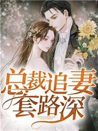 总裁追妻套路深北燕锦免费阅读