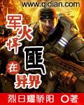 异界 军火