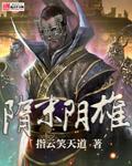 隋末阴雄txt精校