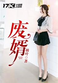 废婿叶辰