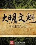 大明文魁笔趣阁