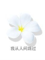 我从人间路过免费阅读全文