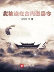 我被迫在古代做县令闪电空历史/架空历史