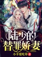 陆少的替嫁宠妻免费第十三章