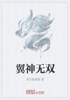 翼神无双