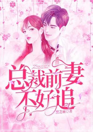 总裁前妻不好追