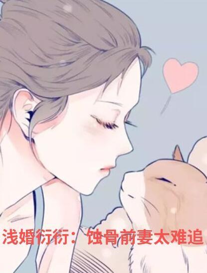 苏清言陆星泽