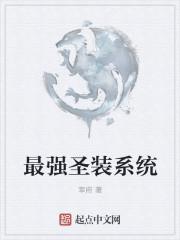 最强圣装系统