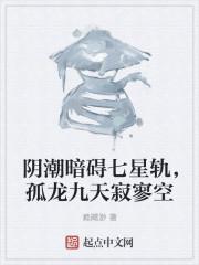 阴潮暗碍七星轨，孤龙九天寂寥空