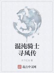 混沌骑士寻风传